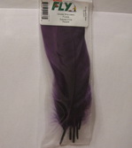 goose shoulders purple  Super Fly